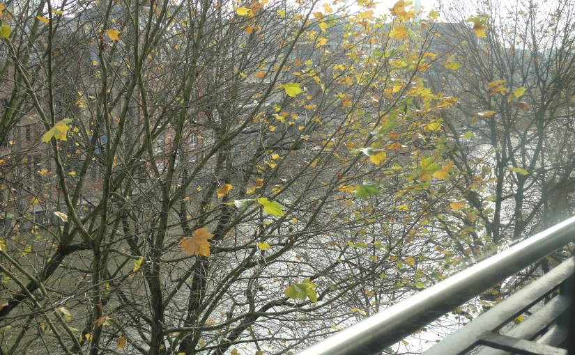 Retirees Go Abroad – What a lovely pair of –&nbsp;Bristol