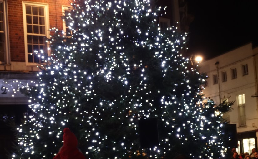 Bishops Visit – York the city of the Viking – St Leonard’s Hospice and lighting the Christmas Tree in St Helen’s&nbsp;Square