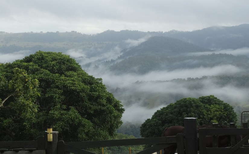 The Retirees take a holiday – in Australia –&nbsp;Maleny.