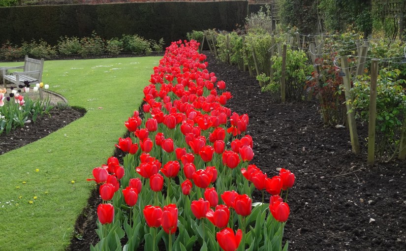 The Retirees go Abroad – Derbyshire and Elvaston Castle Country&nbsp;Park