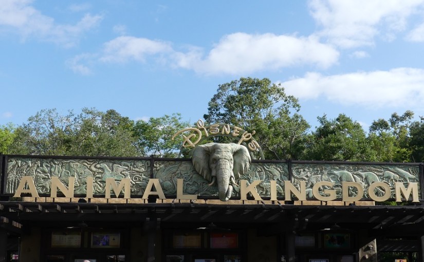 The Retirees in the South East USA – Animal Kingdom at Disney&nbsp;World