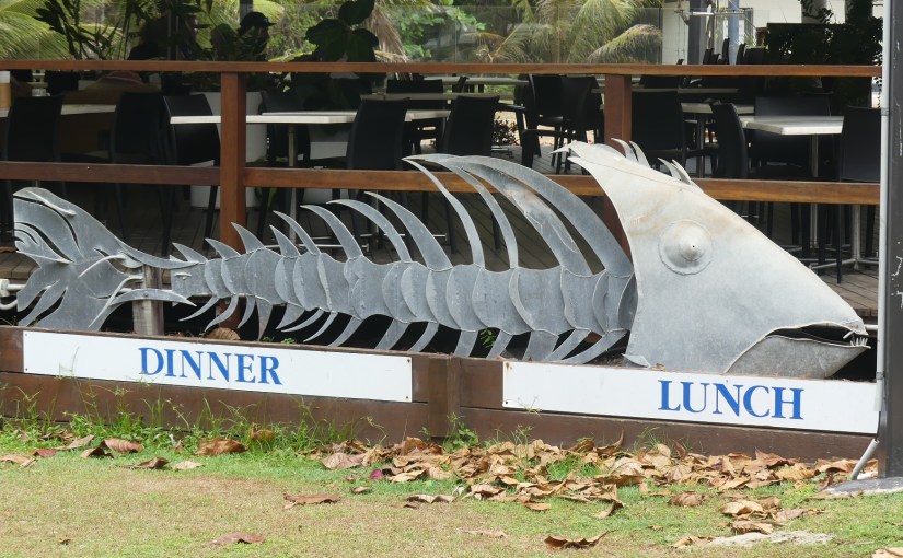 The Retirees are diverted to Cairns – Port&nbsp;Douglas