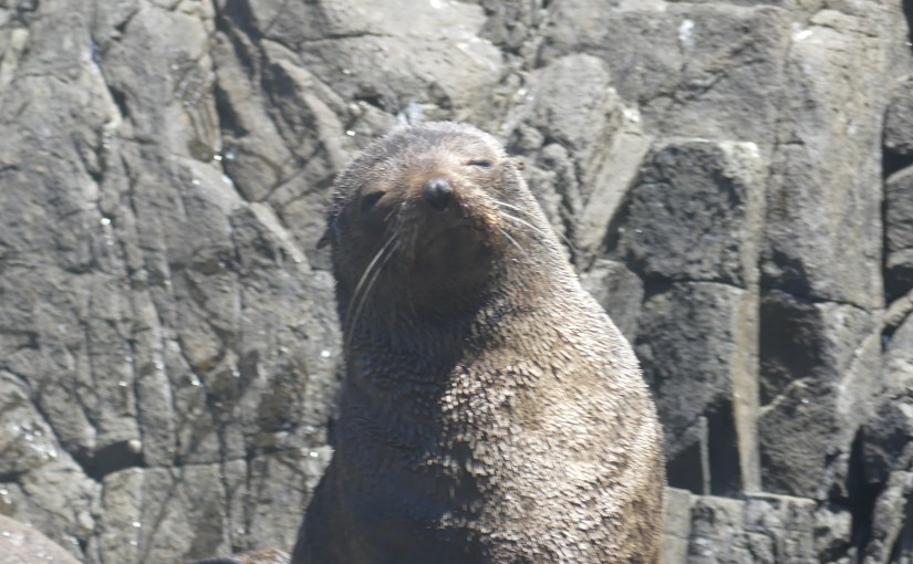 The Retirees in Tasmania – Back in&nbsp;Hobart