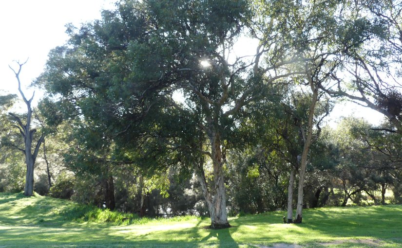 THE RETIREES AND FRIENDS VISIT PERTH AND MARGARET RIVER – SWAN VALLEY – 2024 DAY&nbsp;1