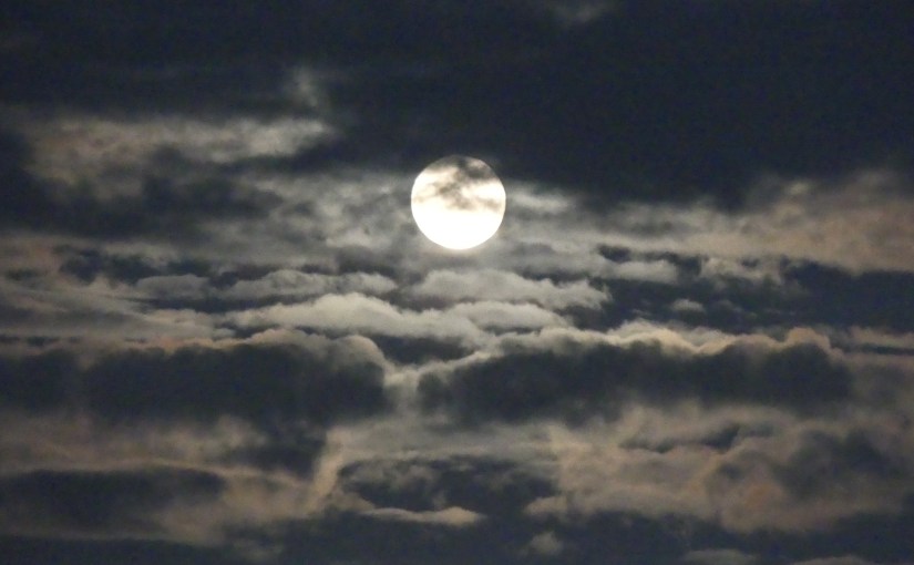 “THE RETIREES GO AROUND THE WORLD – ROME to&nbsp;CESI”