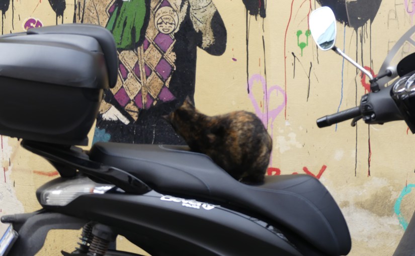 “THE RETIREES GO AROUND THE WORLD – NAPLES to&nbsp;SORRENTO”