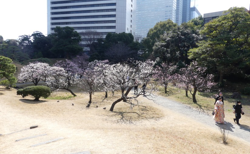 “THE RETIREES GO AROUND THE WORLD – “ROME TO&nbsp;TOKYO”